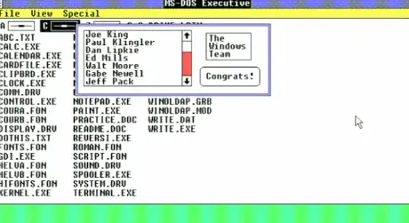1980 年代中期，Windows 1.0 正式发布之前，开发团队悄悄在代码中加入了一份“鸣谢名单”